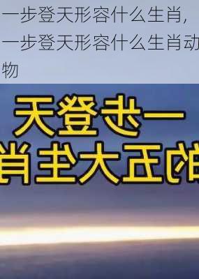 一步登天形容什么生肖,一步登天形容什么生肖动物