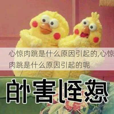 心惊肉跳是什么原因引起的,心惊肉跳是什么原因引起的呢