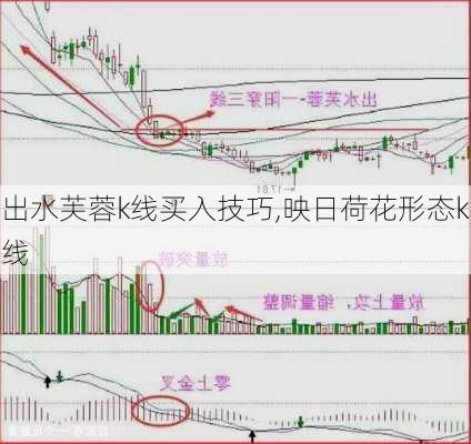 出水芙蓉k线买入技巧,映日荷花形态k线