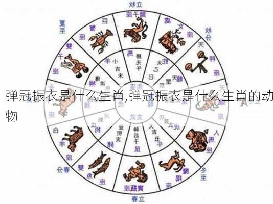 弹冠振衣是什么生肖,弹冠振衣是什么生肖的动物