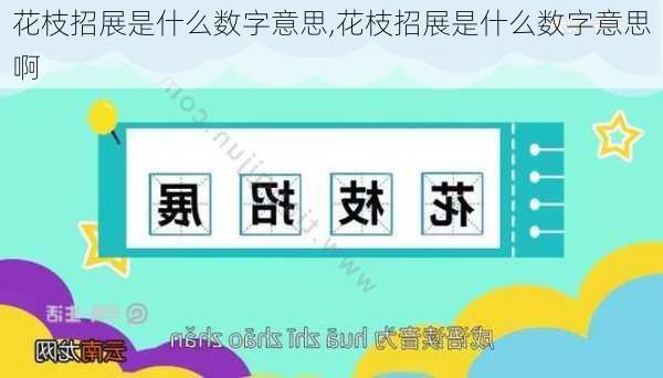 花枝招展是什么数字意思,花枝招展是什么数字意思啊