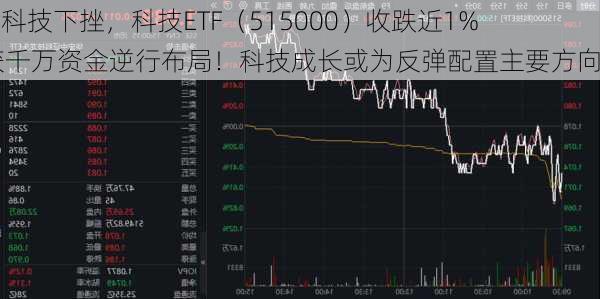 AI硬科技下挫，科技ETF（515000）收跌近1%，获千万资金逆行布局！科技成长或为反弹配置主要方向