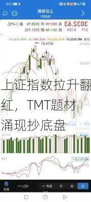 上证指数拉升翻红，TMT题材涌现抄底盘