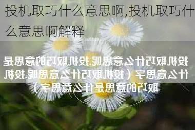 投机取巧什么意思啊,投机取巧什么意思啊解释