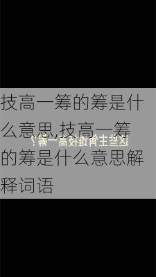 技高一筹的筹是什么意思,技高一筹的筹是什么意思解释词语