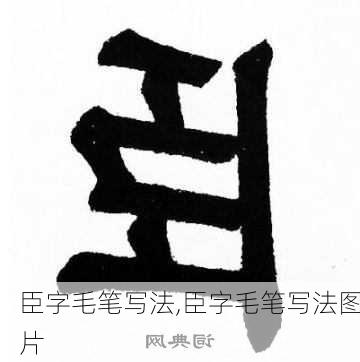 臣字毛笔写法,臣字毛笔写法图片