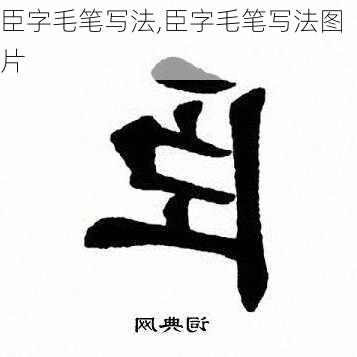 臣字毛笔写法,臣字毛笔写法图片