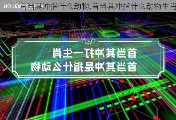 首当其冲指什么动物,首当其冲指什么动物生肖