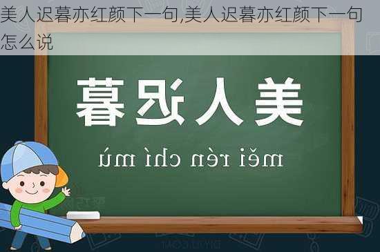 美人迟暮亦红颜下一句,美人迟暮亦红颜下一句怎么说