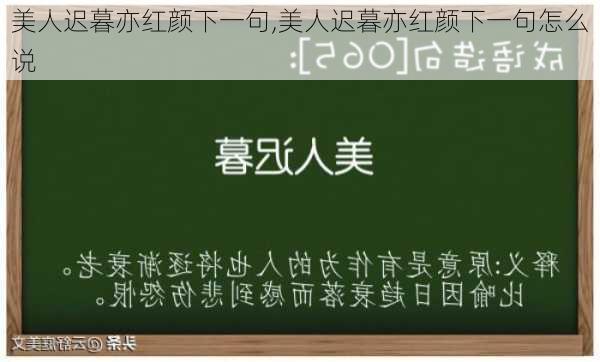 美人迟暮亦红颜下一句,美人迟暮亦红颜下一句怎么说