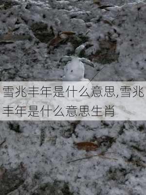 雪兆丰年是什么意思,雪兆丰年是什么意思生肖