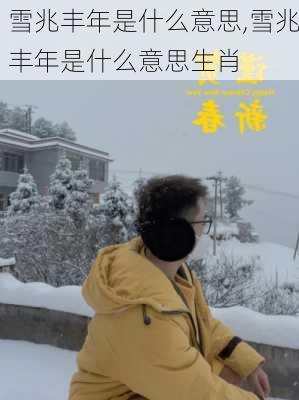 雪兆丰年是什么意思,雪兆丰年是什么意思生肖