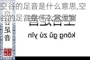 空谷的足音是什么意思,空谷的足音是什么意思啊