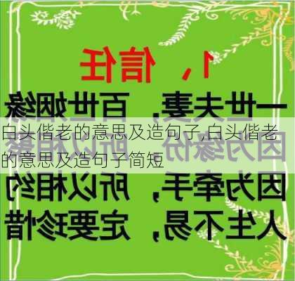 白头偕老的意思及造句子,白头偕老的意思及造句子简短