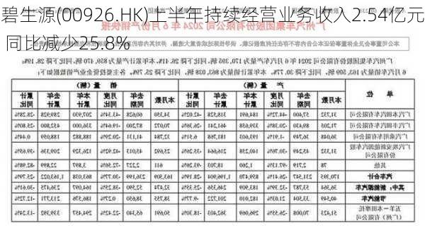 碧生源(00926.HK)上半年持续经营业务收入2.54亿元 同比减少25.8%