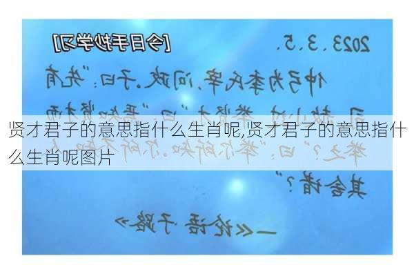 贤才君子的意思指什么生肖呢,贤才君子的意思指什么生肖呢图片