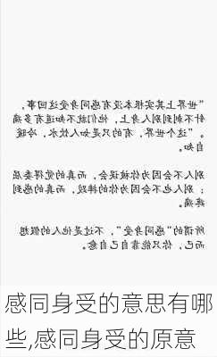 感同身受的意思有哪些,感同身受的原意