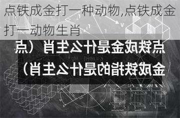 点铁成金打一种动物,点铁成金打一动物生肖