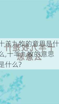 十羊九牧的意思是什么,十羊九牧的意思是什么?