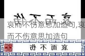 哀而不伤意思加造句,哀而不伤意思加造句