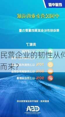 民营企业的韧性从何而来？