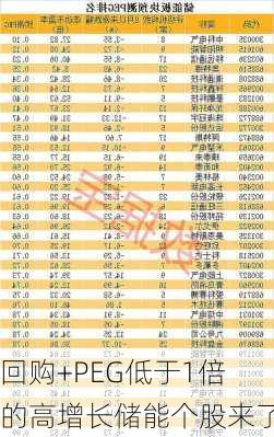 回购+PEG低于1倍的高增长储能个股来了