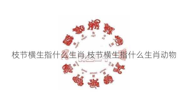 枝节横生指什么生肖,枝节横生指什么生肖动物