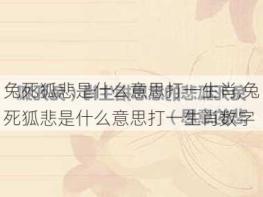 兔死狐悲是什么意思打一生肖,兔死狐悲是什么意思打一生肖数字