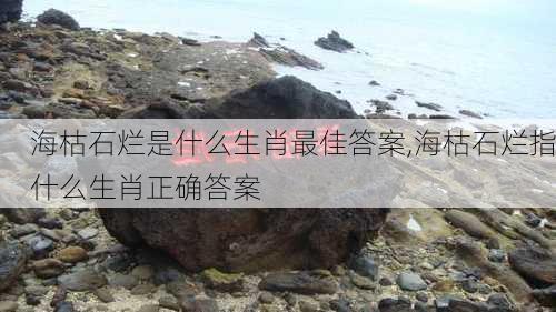 海枯石烂是什么生肖最佳答案,海枯石烂指什么生肖正确答案