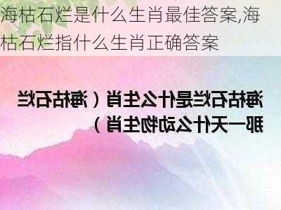 海枯石烂是什么生肖最佳答案,海枯石烂指什么生肖正确答案