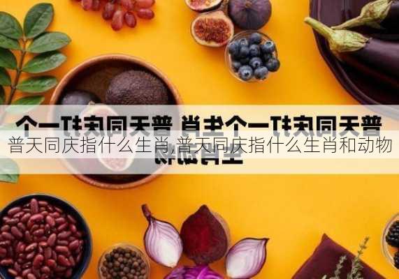 普天同庆指什么生肖,普天同庆指什么生肖和动物