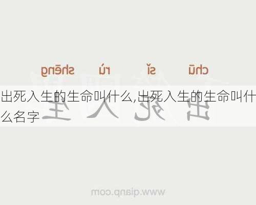 出死入生的生命叫什么,出死入生的生命叫什么名字