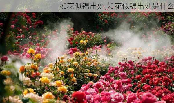 如花似锦出处,如花似锦出处是什么