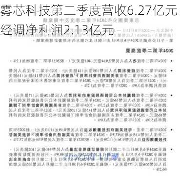 雾芯科技第二季度营收6.27亿元 经调净利润2.13亿元