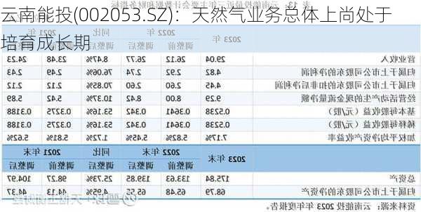 云南能投(002053.SZ)：天然气业务总体上尚处于培育成长期