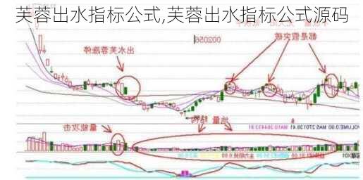 芙蓉出水指标公式,芙蓉出水指标公式源码