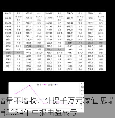 增量不增收，计提千万元减值 思瑞浦2024年中报由盈转亏