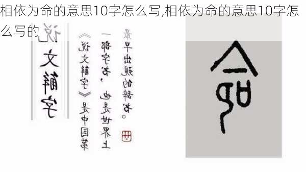 相依为命的意思10字怎么写,相依为命的意思10字怎么写的