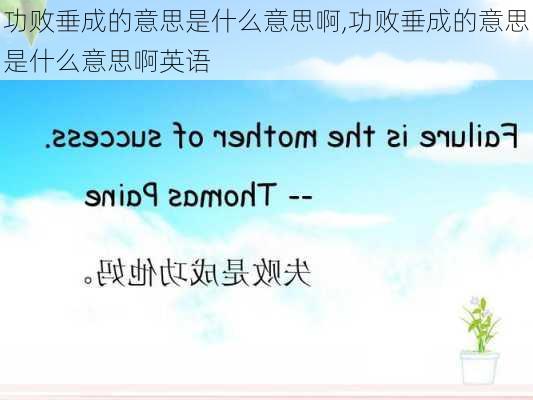 功败垂成的意思是什么意思啊,功败垂成的意思是什么意思啊英语