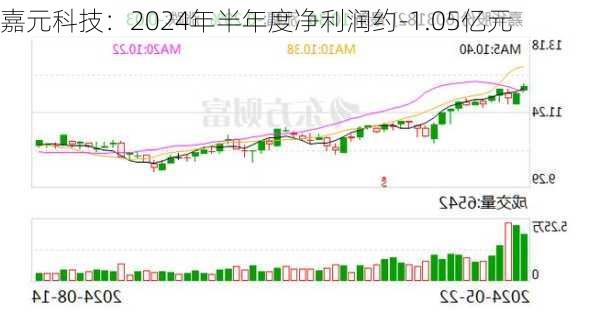 嘉元科技：2024年半年度净利润约-1.05亿元