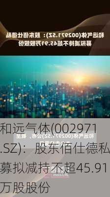 和远气体(002971.SZ)：股东佰仕德私募拟减持不超45.91万股股份