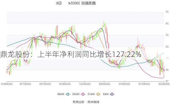 鼎龙股份：上半年净利润同比增长127.22%