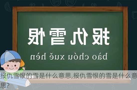 报仇雪恨的雪是什么意思,报仇雪恨的雪是什么意思?