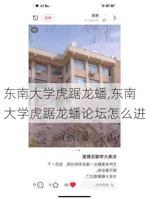 东南大学虎踞龙蟠,东南大学虎踞龙蟠论坛怎么进