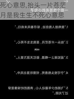 死心意思,抬头一片苍茫月是我生生不死心意思