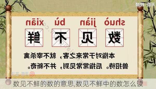 数见不鲜的数的意思,数见不鲜中的数怎么读