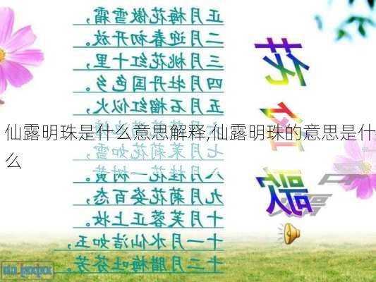 仙露明珠是什么意思解释,仙露明珠的意思是什么