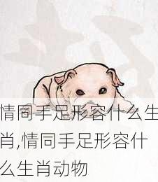 情同手足形容什么生肖,情同手足形容什么生肖动物