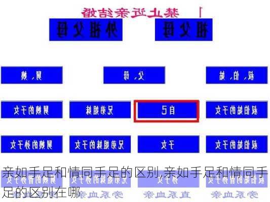 亲如手足和情同手足的区别,亲如手足和情同手足的区别在哪