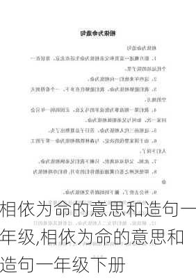 相依为命的意思和造句一年级,相依为命的意思和造句一年级下册